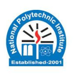 National Polytechnic Institute