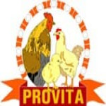 Provita Group