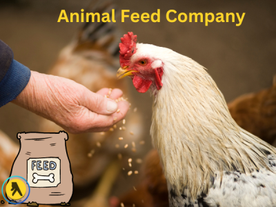 Top Animal Feed Companies In Bangladesh