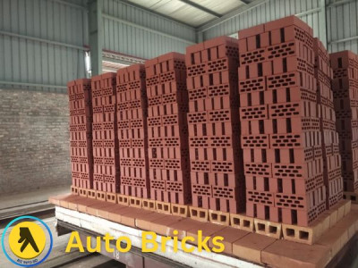 Auto Bricks Factory in Bangladesh