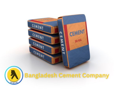 Introduction to Bangladesh Cement Company