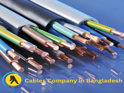 Top Cable Companies in Bangladesh