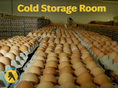 Top Cold Storage Room Provider In Bangladesh