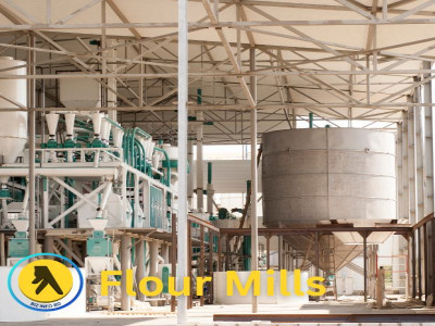 Best Flour Mills in Bangladesh