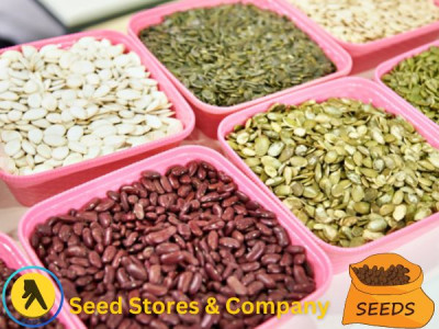 Best Seed Stores And Company Bangladesh